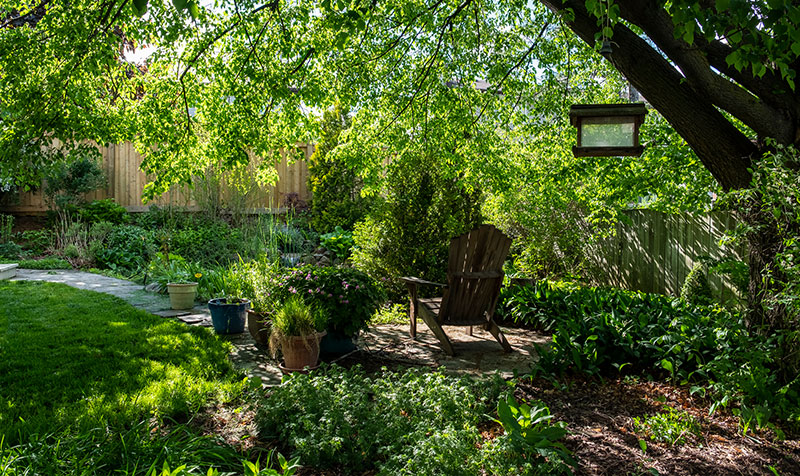 Schattiger Garten mit Bäumen und Sitzecke