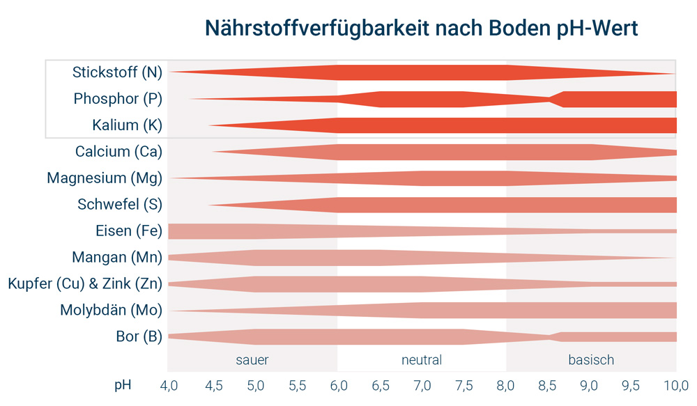 Infografik: Nährstoffverfügbarkeit nach Boden pH-Wert