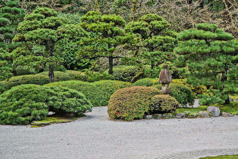 Formgehölze im Zen Garten